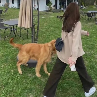 最后一次机会